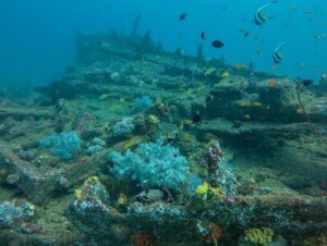 SS Orestes Wreck Galle